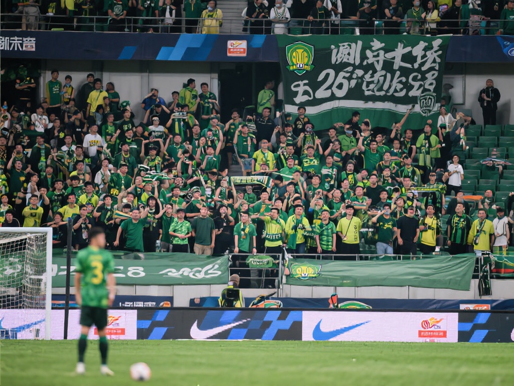 国家队增添 国家队增添