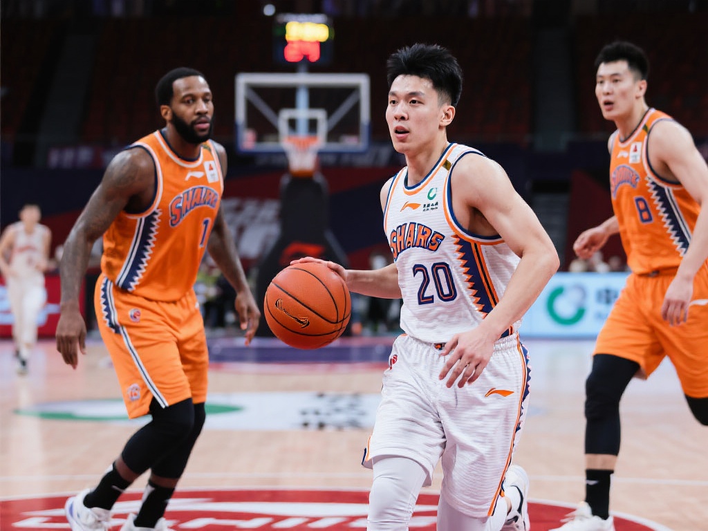 案例分享 案例分享